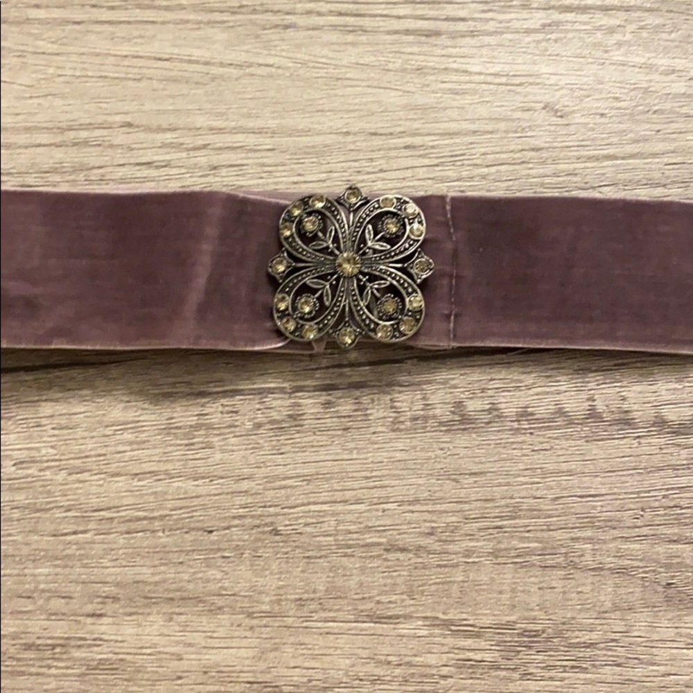 Velvet Belt